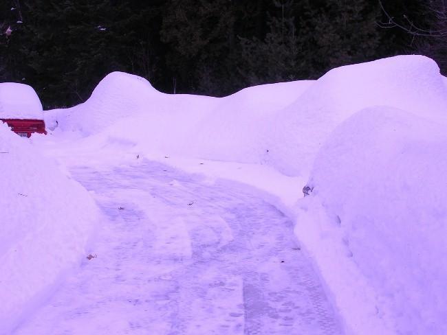 snow on cars 4 for them