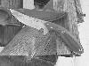 Hunting Knife 182tn.JPG